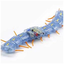 Click here to learn more about the Tamiya America, Inc Centipede Robot.
